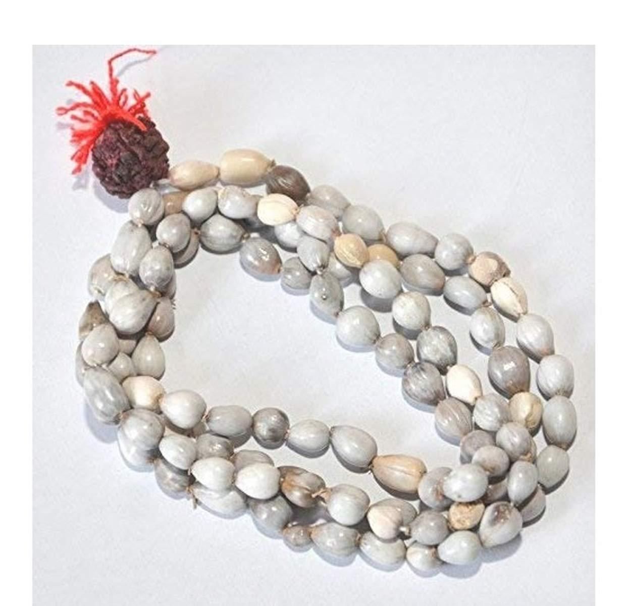 Divine Harmony Vaijayanti Mala with Rudraksha & Moira Stone | Parishtha - ParishthaParishtha