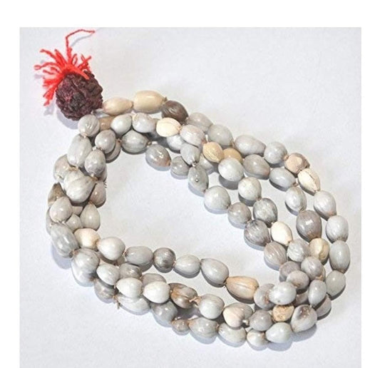 Divine Harmony Vaijayanti Mala with Rudraksha & Moira Stone | Parishtha - ParishthaParishtha