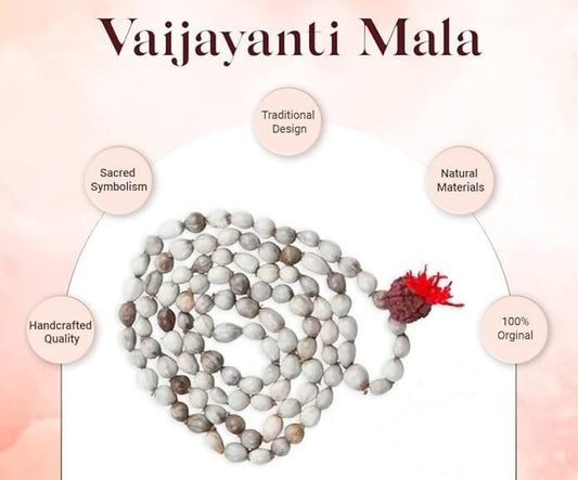 Divine Harmony Vaijayanti Mala with Rudraksha & Moira Stone | Parishtha - ParishthaParishtha