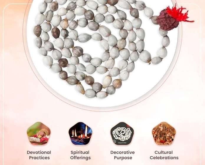 Divine Harmony Vaijayanti Mala with Rudraksha & Moira Stone | Parishtha - ParishthaParishtha