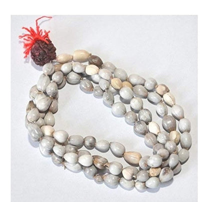 Divine Harmony Vaijayanti Mala with Rudraksha & Moira Stone | Parishtha - ParishthaParishtha