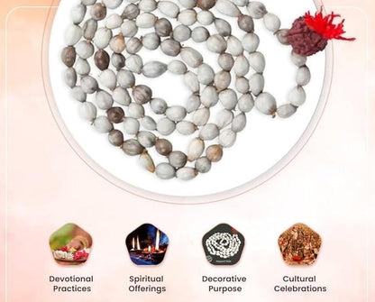 Divine Harmony Vaijayanti Mala with Rudraksha & Moira Stone | Parishtha - ParishthaParishtha